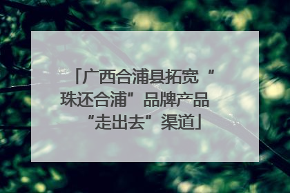 广西合浦县拓宽“珠还合浦”品牌产品“走出去”渠道