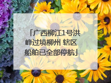广西柳江1号洪峰过境柳州 辖区船舶已全部停航