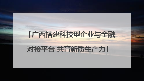 广西搭建科技型企业与金融对接平台 共育新质生产力
