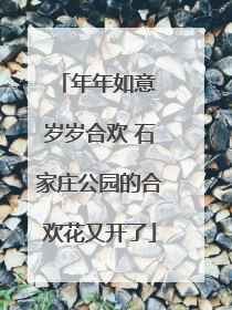 年年如意 岁岁合欢 石家庄公园的合欢花又开了