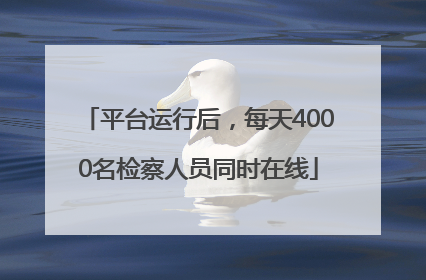 平台运行后，每天4000名检察人员同时在线