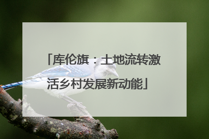 库伦旗：土地流转激活乡村发展新动能