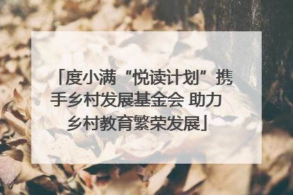 度小满“悦读计划”携手乡村发展基金会 助力乡村教育繁荣发展
