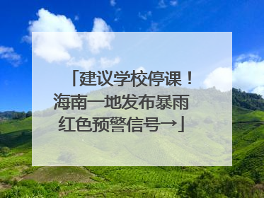 建议学校停课！海南一地发布暴雨红色预警信号→