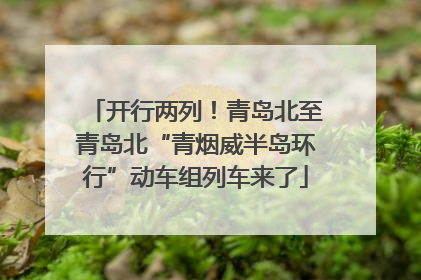 开行两列！青岛北至青岛北“青烟威半岛环行”动车组列车来了
