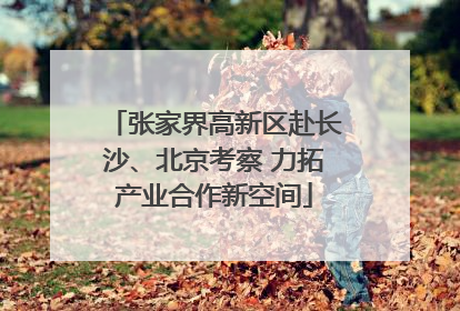 张家界高新区赴长沙、北京考察 力拓产业合作新空间