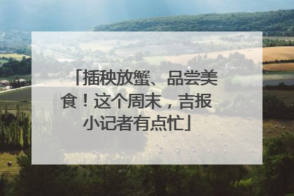 插秧放蟹、品尝美食！这个周末，吉报小记者有点忙