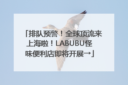 排队预警！全球顶流来上海啦！LABUBU怪味便利店即将开展→