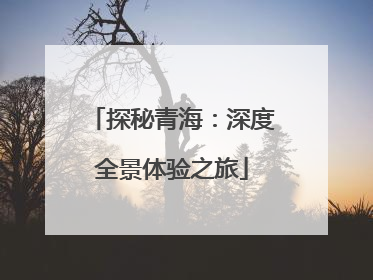 探秘青海：深度全景体验之旅