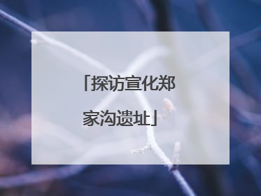 探访宣化郑家沟遗址