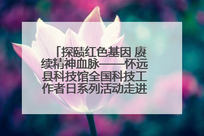 探赜红色基因 赓续精神血脉——怀远县科技馆全国科技工作者日系列活动走进怀远县实验中学