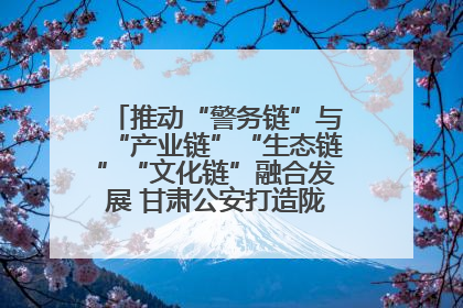 推动“警务链”与“产业链”“生态链”“文化链”融合发展 甘肃公安打造陇原旅游警务品牌