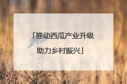 推动西瓜产业升级 助力乡村振兴