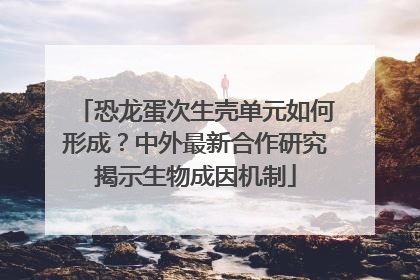 恐龙蛋次生壳单元如何形成？中外最新合作研究揭示生物成因机制