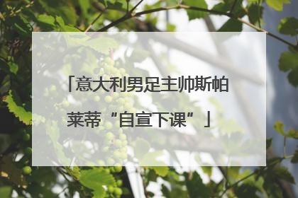 意大利男足主帅斯帕莱蒂“自宣下课”