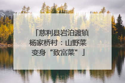慈利县岩泊渡镇杨家桥村：山野菜变身“致富菜”