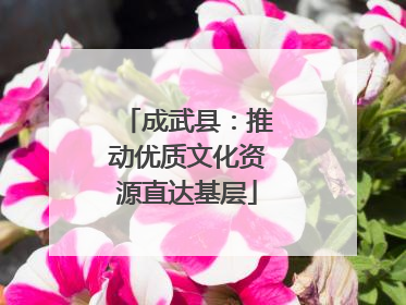 成武县：推动优质文化资源直达基层