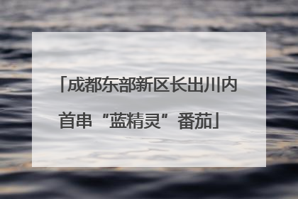成都东部新区长出川内首串“蓝精灵”番茄