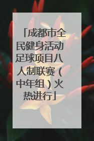 成都市全民健身活动足球项目八人制联赛（中年组）火热进行