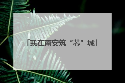 我在南安筑“芯”城