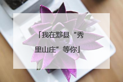 我在黟县“秀里山庄”等你