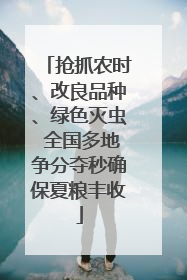 抢抓农时、改良品种、绿色灭虫 全国多地争分夺秒确保夏粮丰收