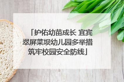 护佑幼苗成长 宜宾翠屏菜坝幼儿园多举措筑牢校园安全防线