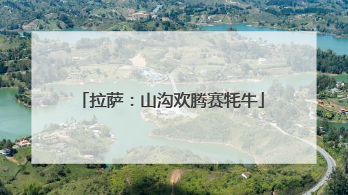 拉萨：山沟欢腾赛牦牛