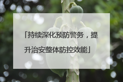 持续深化预防警务，提升治安整体防控效能