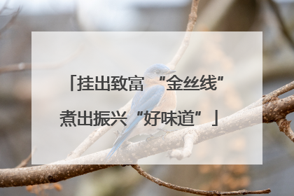 挂出致富 “金丝线” 煮出振兴“好味道”
