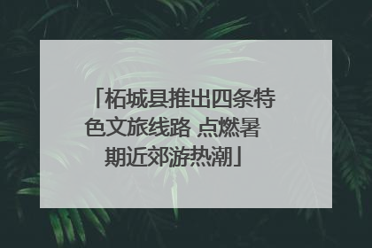 柘城县推出四条特色文旅线路 点燃暑期近郊游热潮