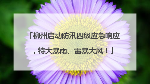 柳州启动防汛四级应急响应，特大暴雨、雷暴大风！