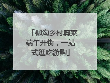 柳沟乡村奥莱端午开街，一站式逛吃游购