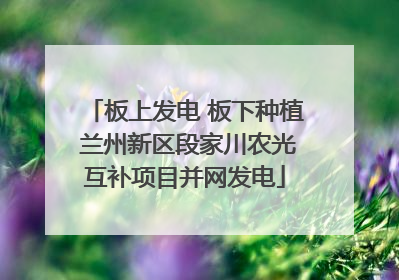 板上发电 板下种植 兰州新区段家川农光互补项目并网发电