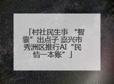 村社民生事 “智囊”出点子 嘉兴市秀洲区推行AI“民情一本账”