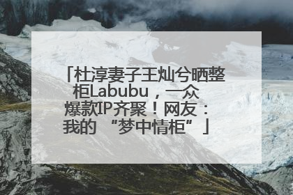 杜淳妻子王灿兮晒整柜Labubu，一众爆款IP齐聚！网友：我的 “梦中情柜”
