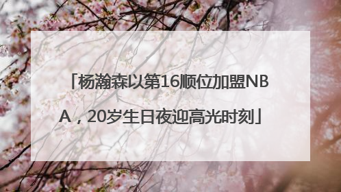 杨瀚森以第16顺位加盟NBA，20岁生日夜迎高光时刻
