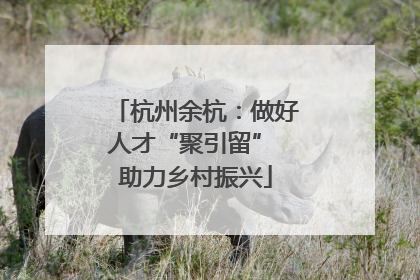 杭州余杭：做好人才“聚引留” 助力乡村振兴