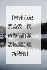 林州市纪委监委：民声微信群激活基层治理新效能