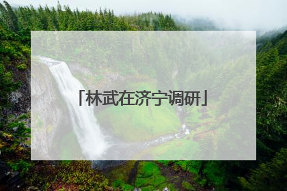 林武在济宁调研