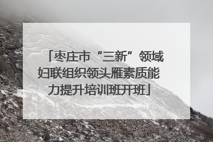 枣庄市“三新”领域妇联组织领头雁素质能力提升培训班开班