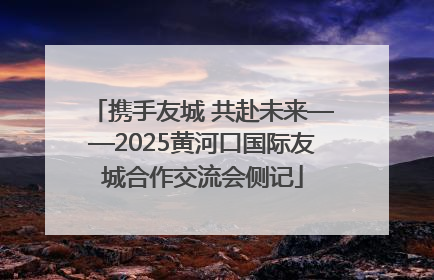 携手友城 共赴未来——2025黄河口国际友城合作交流会侧记