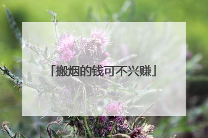 搬烟的钱可不兴赚