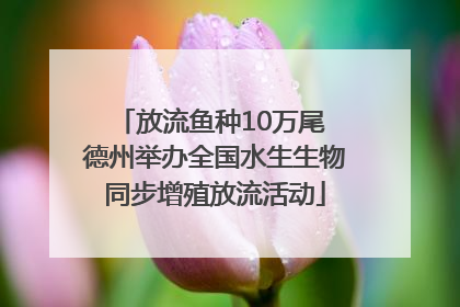 放流鱼种10万尾 德州举办全国水生生物同步增殖放流活动