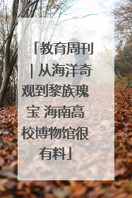 教育周刊｜从海洋奇观到黎族瑰宝 海南高校博物馆很有料