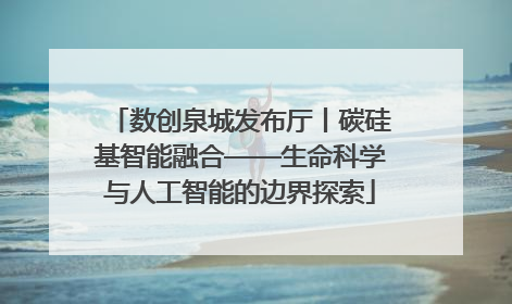 数创泉城发布厅丨碳硅基智能融合——生命科学与人工智能的边界探索