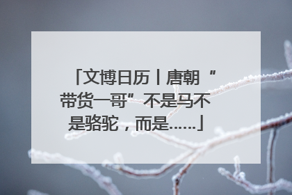 文博日历丨唐朝“带货一哥”不是马不是骆驼，而是……