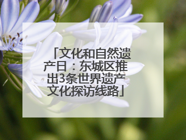 文化和自然遗产日：东城区推出3条世界遗产文化探访线路