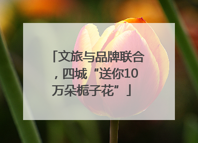 文旅与品牌联合，四城“送你10万朵栀子花”