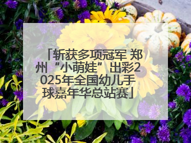 斩获多项冠军 郑州“小萌娃”出彩2025年全国幼儿手球嘉年华总站赛